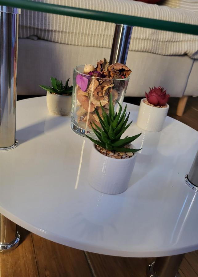 Rijeka Apartment With Free Parking And Large Balcony Eksteriør billede